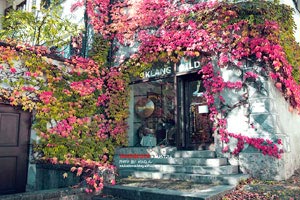 切尔西后防稳固，铜墙铁壁守护比赛胜利