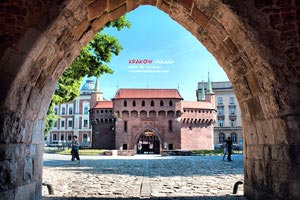 乌干达队赛季收官庆功宴：荣耀、欢笑与新的起点