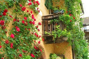 球队备战未来赛事战术调整成果显著