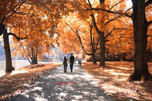 火力全开！掘金铁军豪取胜利，纵横球场