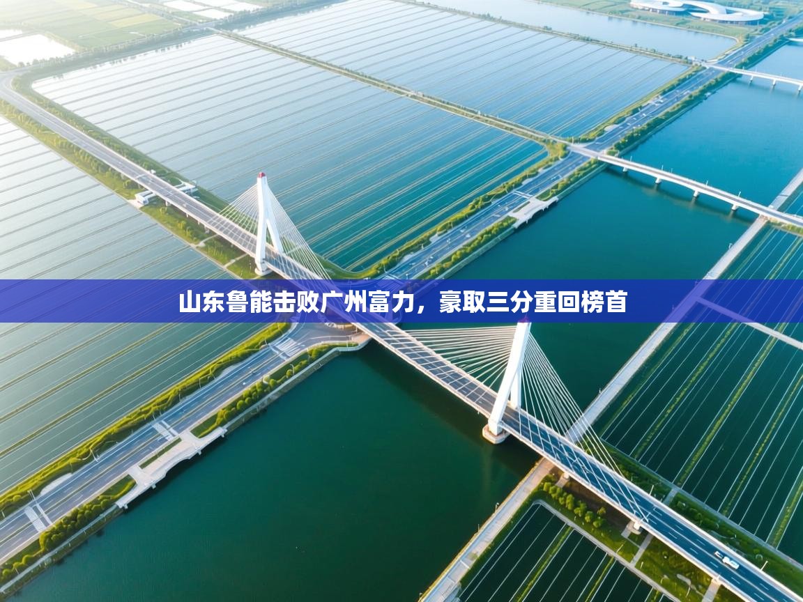 山东鲁能击败广州富力,豪取三分重回榜首 第2张