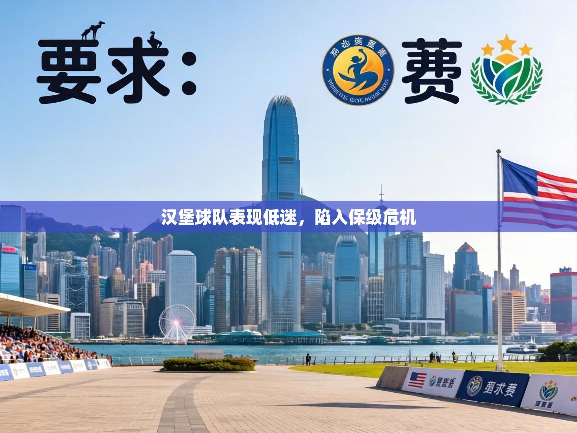 汉堡球队表现低迷,陷入保级危机 第1张