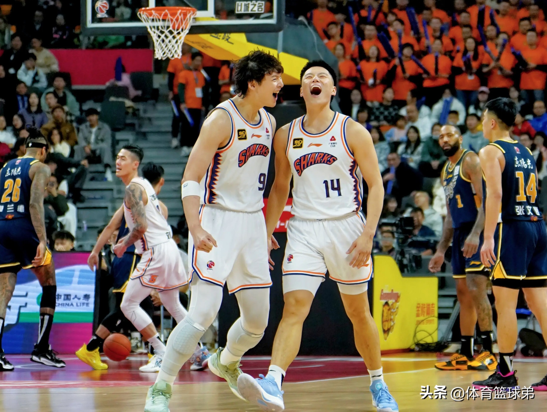 强强对话,国内职业篮球联赛场上争夺胜利的简单介绍 强强对话,国内职业篮球联赛场上争夺胜利的简单介绍